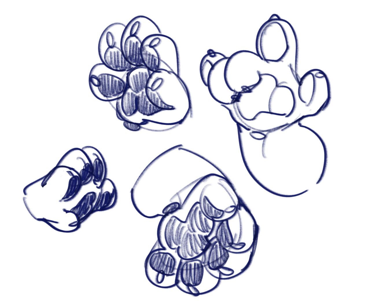 Hand Paws Study