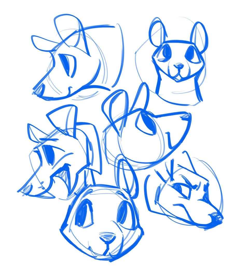 Rats Study